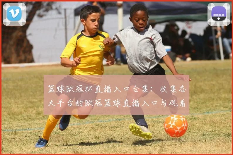 篮球欧冠杯直播入口合集：收集各大平台的欧冠篮球直播入口与观看方式