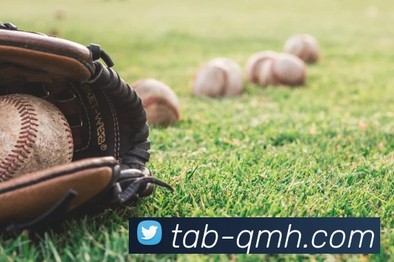 球盟会发展历程